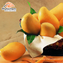 High quality fresh mango 40% Mangiferin